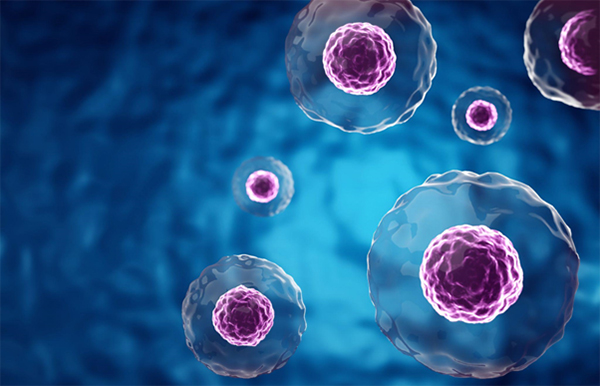 How Regenerative Medicine Supports Joint Health and Delays Surgery