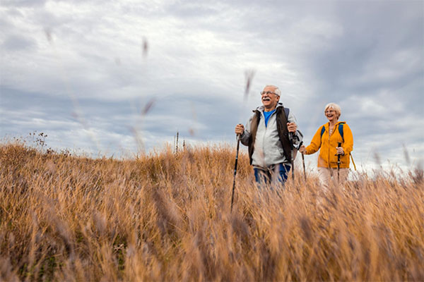 Maintaining Mobility: Stretches and Exercises for Long-Term Joint Health